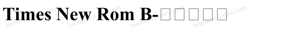 Times New Rom B字体转换